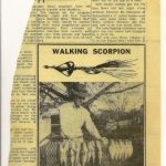 Ad for Walking Scorpion