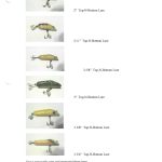 Lures for Insert 1
