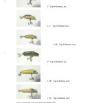 Lures for Insert 1