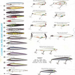 1970-Chart-back