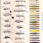 1973-1976 Chart - front