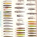 1973-1976 Chart - back