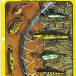 1977 Cover