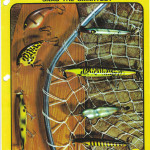 1977 Cover