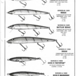1977 page 4