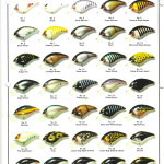 1977 page 7
