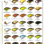 1977 page 8
