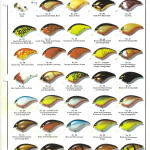 1977 page 8