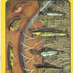 1978 Cover