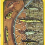 1978 Cover