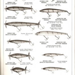1978 page 5