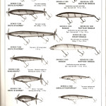 1978 page 5