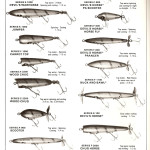 1978 page 6