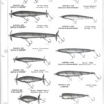 1979 page 5