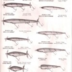 1982-1983 page 5