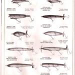1982-1983 page 6