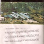 1984 inside of cover