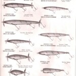 1984 page 5