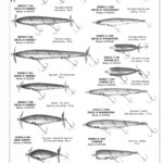 1989 - 1990 page 1
