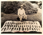 Jack K. Smithwick sure could catch those bass.