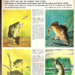 These are pictures of paintings by Wiley Miller from 1973. He painted and sold pictures as well as painted pictures for the covers of Fishing Facts magazine. This is from Fishing Facts Jan 1973.