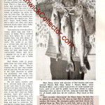 Great mention of the Water Gater. One shop ordered 276 and followed up a few days later for 208 more!!