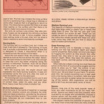 Has an article about Top Water Fishing and shows a picture of the Devils Horse lure. Page 2 of 2.