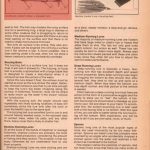 Has an article about Top Water Fishing and shows a picture of the Devils Horse lure. Page 2 of 2.