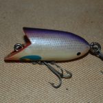 Small Devels Horse Stud in Purple Shiner.