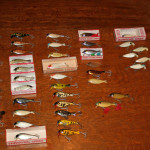 Jonathan - Butterfly Collection