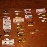 Jonathan - Butterfly Collection