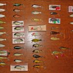 Jonathan - Butterfly Collection