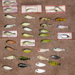 Jonathan - Butterfly Collection