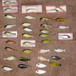 Jonathan - Butterfly Collection